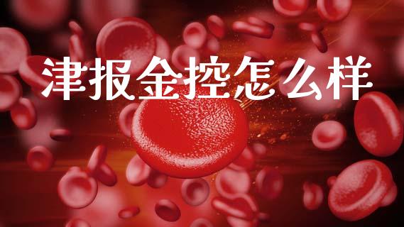 津报金控怎么样_https://wap.78312.cn_期货开户_第1张