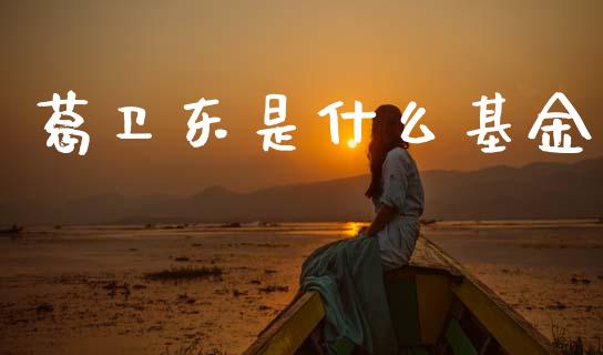葛卫东是什么基金_https://wap.78312.cn_金融监管_第1张