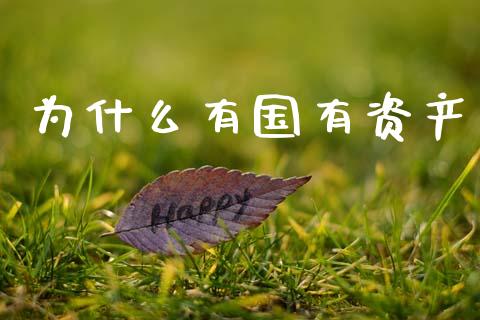 为什么有国有资产_https://wap.78312.cn_债券资讯_第1张