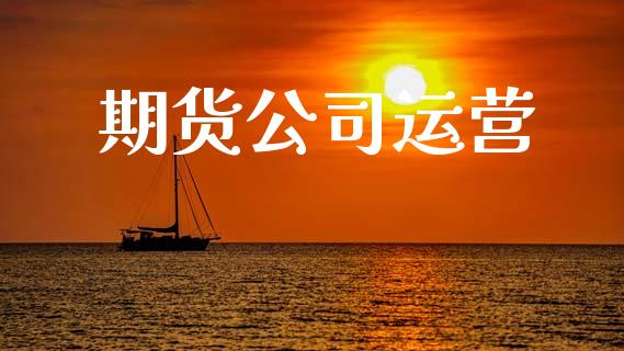 期货公司运营_https://wap.78312.cn_金融监管_第1张