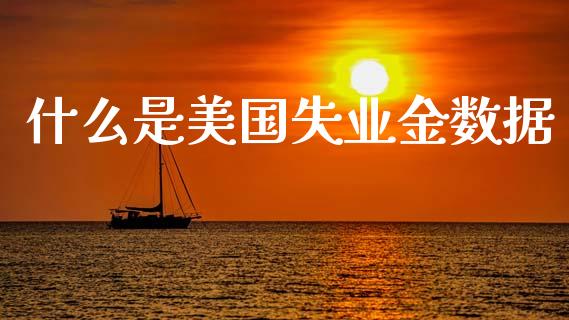 什么是美国失业金数据_https://wap.78312.cn_全球市场_第1张