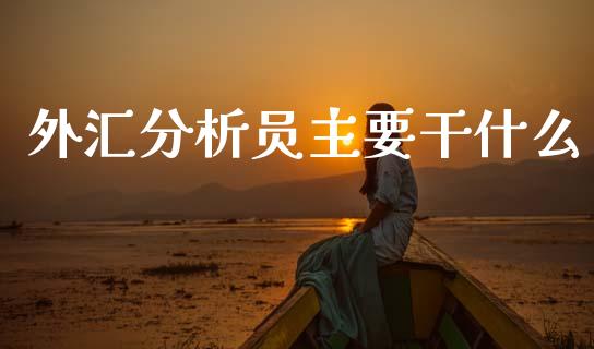 外汇分析员主要干什么_https://wap.78312.cn_外汇交易_第1张