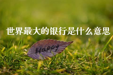 世界最大的银行是什么意思_https://wap.78312.cn_财经新闻_第1张