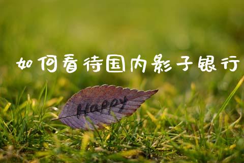 如何看待国内影子银行_https://wap.78312.cn_外汇交易_第1张
