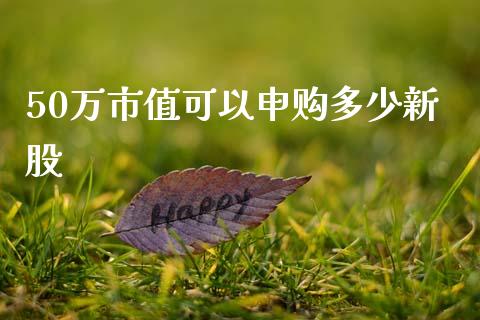 50万市值可以申购多少新股_https://wap.78312.cn_全球市场_第1张