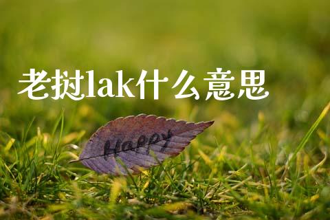 老挝lak什么意思_https://wap.78312.cn_财经新闻_第1张