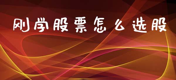 刚学股票怎么选股_https://wap.78312.cn_期货开户_第1张