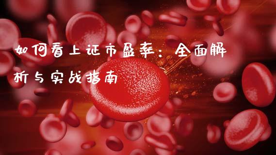 如何看上证市盈率：全面解析与实战指南_https://wap.78312.cn_财经新闻_第1张