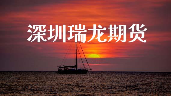 深圳瑞龙期货_https://wap.78312.cn_债券资讯_第1张