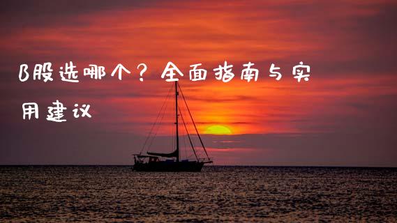 B股选哪个？全面指南与实用建议_https://wap.78312.cn_债券资讯_第1张