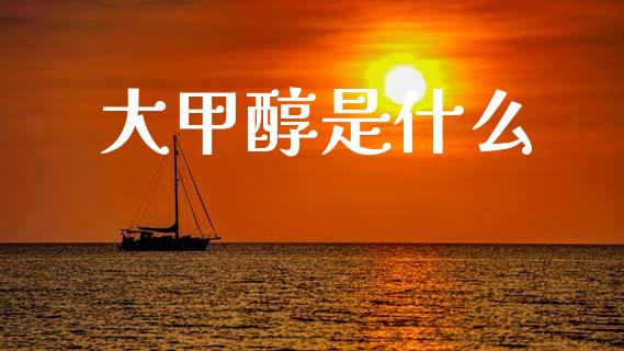 大甲醇是什么_https://wap.78312.cn_债券资讯_第1张