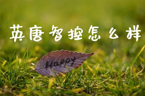 英唐智控怎么样_https://wap.78312.cn_财经新闻_第1张