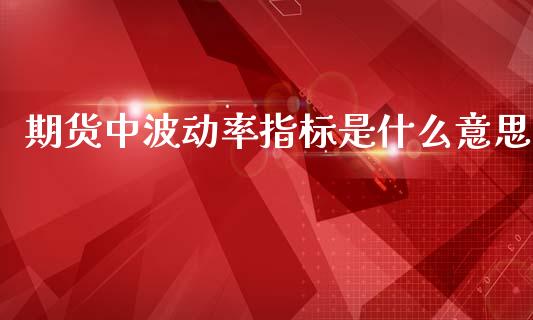 期货中波动率指标是什么意思_https://wap.78312.cn_期货开户_第1张