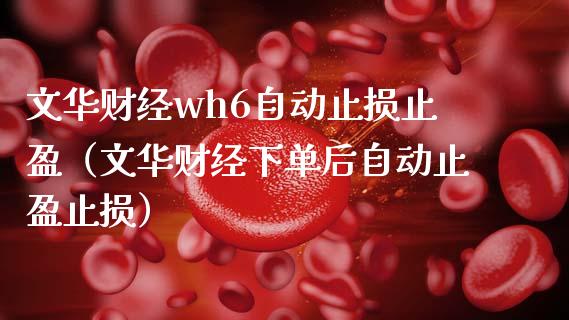 文华财经wh6自动止损止盈(文华财经下单后自动止盈止损)_全球市场_第1张_期货开户_金融监管_外汇交易_债券资讯_全球市场_财经新闻 文华财经wh6自动止损止盈(文华财经下单后自动止盈止损)_https://wap.78312.cn_全球市场_第1张