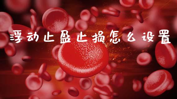 浮动止盈止损怎么设置_https://wap.78312.cn_债券资讯_第1张