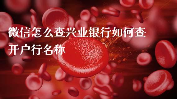 微信怎么查兴业银行如何查开户行名称_https://wap.78312.cn_外汇交易_第1张