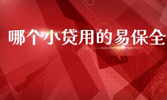哪个小贷用的易保全_https://wap.78312.cn_财经新闻_第1张