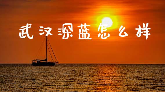 武汉深蓝怎么样_https://wap.78312.cn_全球市场_第1张