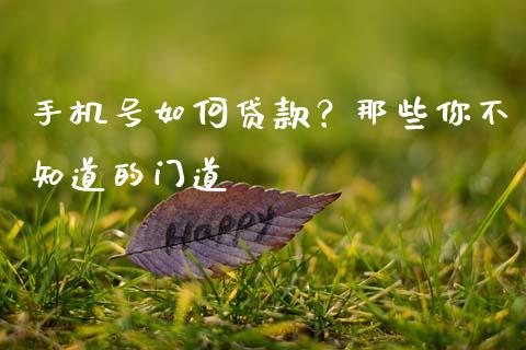手机号如何贷款？那些你不知道的门道_https://wap.78312.cn_期货开户_第1张