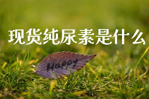 现货纯尿素是什么_https://wap.78312.cn_外汇交易_第1张