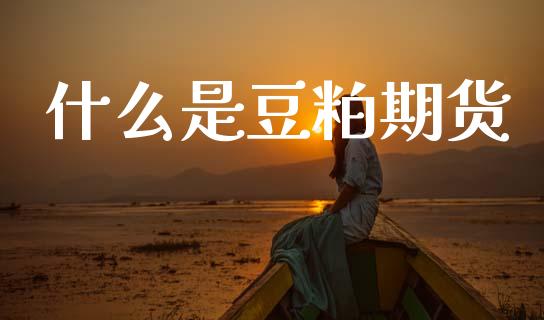 什么是豆粕期货_https://wap.78312.cn_外汇交易_第1张
