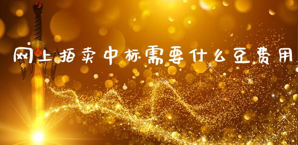 网上拍卖中标需要什么豆费用_https://wap.78312.cn_债券资讯_第1张