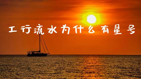 工行流水为什么有星号_https://wap.78312.cn_全球市场_第1张