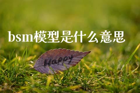 bsm模型是什么意思_https://wap.78312.cn_期货开户_第1张
