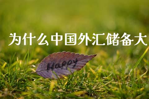 为什么中国外汇储备大_https://wap.78312.cn_外汇交易_第1张