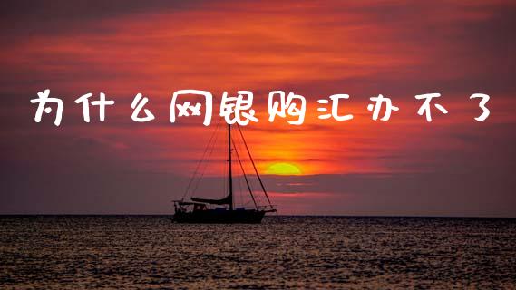 为什么网银购汇办不了_https://wap.78312.cn_全球市场_第1张