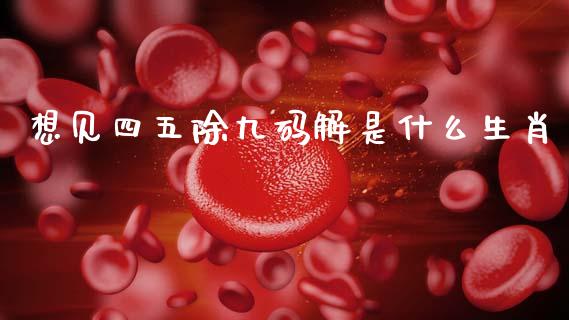想见四五除九码解是什么生肖_https://wap.78312.cn_金融监管_第1张