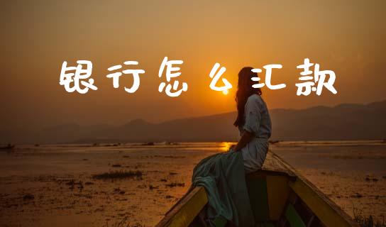 银行怎么汇款_https://wap.78312.cn_金融监管_第1张