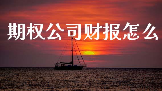 期权公司财报怎么_https://wap.78312.cn_全球市场_第1张