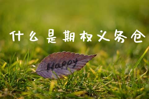 什么是期权义务仓_https://wap.78312.cn_外汇交易_第1张