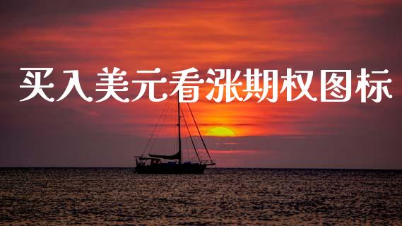 买入美元看涨期权图标_https://wap.78312.cn_金融监管_第1张