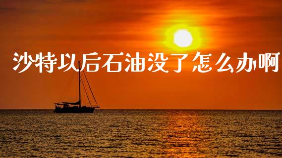 沙特以后石油没了怎么办啊_https://wap.78312.cn_债券资讯_第1张