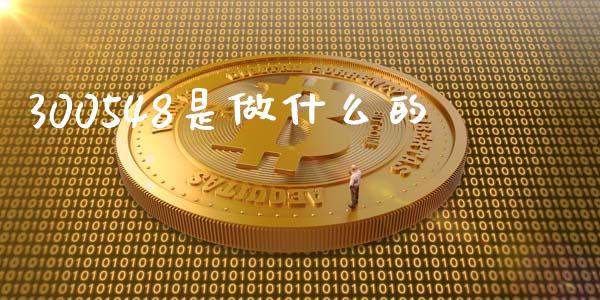 300548是做什么的_https://wap.78312.cn_金融监管_第1张