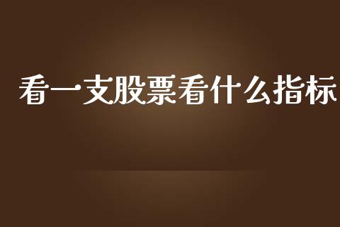 看一支股票看什么指标_https://wap.78312.cn_期货开户_第1张