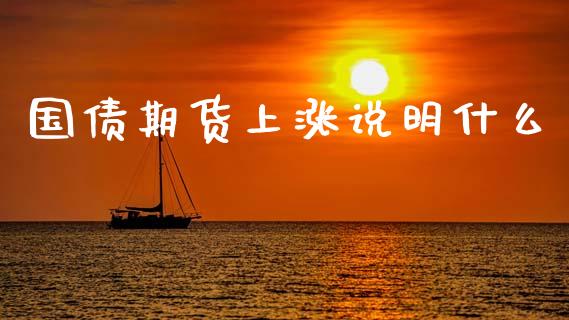 国债期货上涨说明什么_https://wap.78312.cn_金融监管_第1张