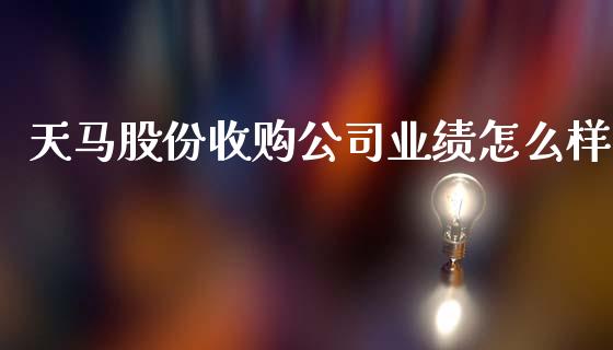 天马股份收购公司业绩怎么样_https://wap.78312.cn_金融监管_第1张