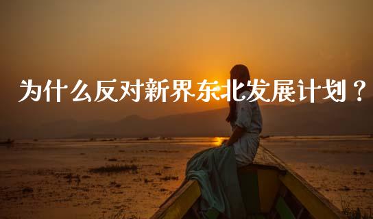为什么反对新界东北发展计划？_https://wap.78312.cn_财经新闻_第1张