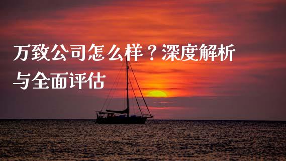 万致公司怎么样？深度解析与全面评估_https://wap.78312.cn_全球市场_第1张