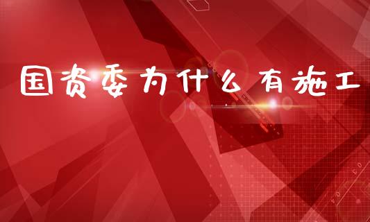 国资委为什么有施工_https://wap.78312.cn_全球市场_第1张