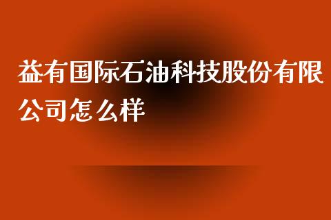 益有国际石油科技股份有限公司怎么样_https://wap.78312.cn_金融监管_第1张