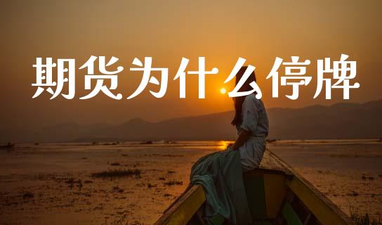 期货为什么停牌_https://wap.78312.cn_外汇交易_第1张
