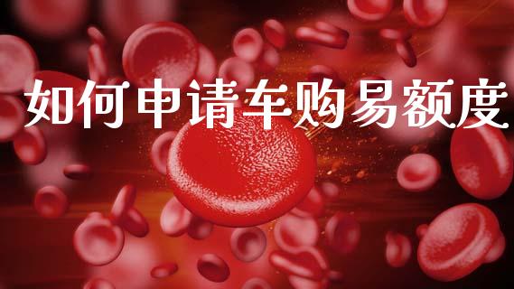 如何申请车购易额度_https://wap.78312.cn_全球市场_第1张