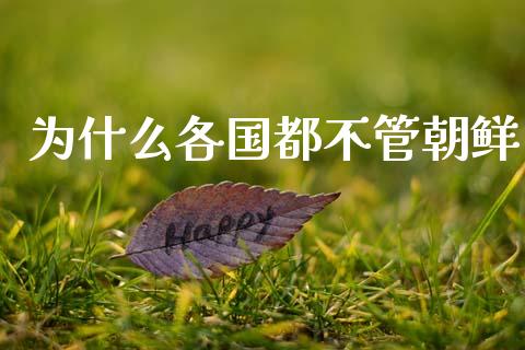 为什么各国都不管朝鲜_https://wap.78312.cn_期货开户_第1张