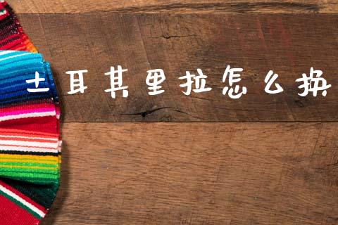 土耳其里拉怎么换_https://wap.78312.cn_金融监管_第1张