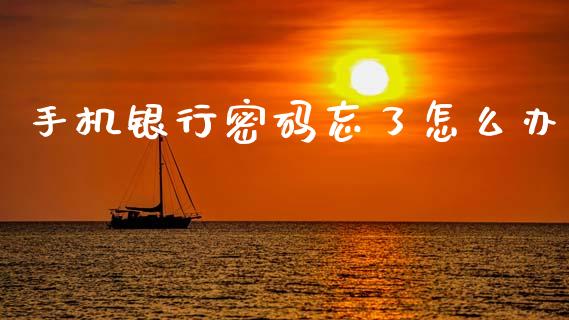 手机银行密码忘了怎么办_https://wap.78312.cn_期货开户_第1张