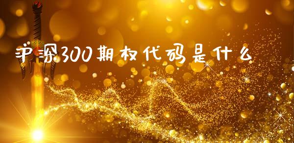 沪深300期权代码是什么_https://wap.78312.cn_金融监管_第1张